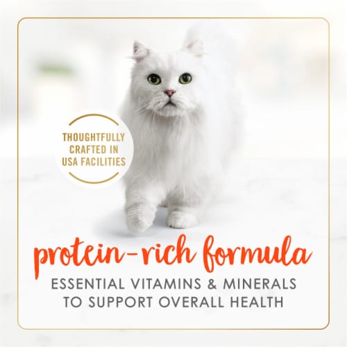 Purina Fancy Feast Classic Pate Wet Cat Food Salmon Feast Perspective: right