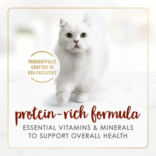 Purina Fancy Feast Classic Pate Wet Cat Food Tender Beef Feast Perspective: right