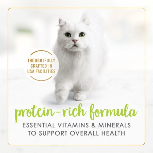 Purina Fancy Feast Grilled Wet Cat Food Salmon Feast in Gravy Perspective: right