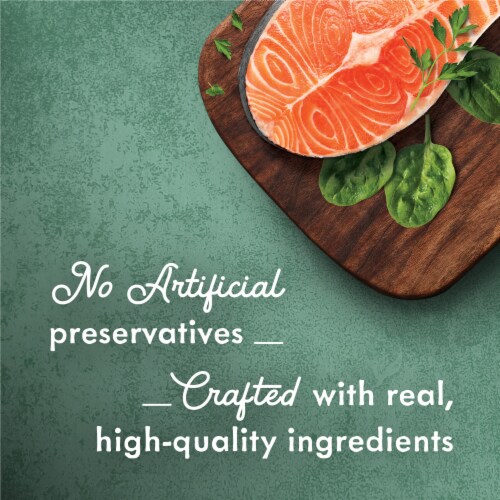 Purina Fancy Feast Medleys Wet Cat Food Wild Salmon Florentine in Savory Broth Perspective: right