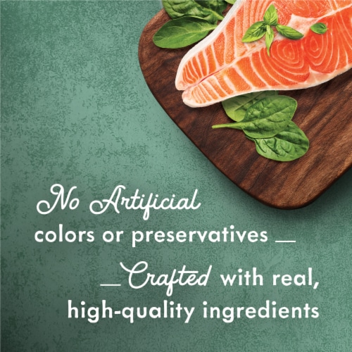 Purina Fancy Feast Medleys Shredded Wet Cat Food Wild Salmon Fare in Savory Broth Perspective: right