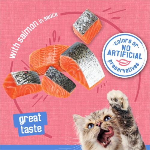 Purina Friskies Shreds with Salmon in Sauce Wet Cat Food Perspective: right
