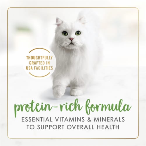 Purina Fancy Feast Gravy Lovers Wet Cat Food Grilled Salmon Feast in Gravy Perspective: right