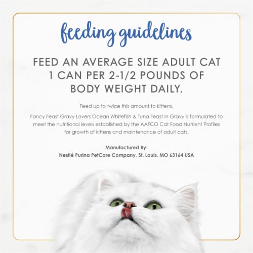 Purina Fancy Feast Gravy Lovers Cat Food in Wet Cat Food Ocean Whitefish and Tuna Feast Perspective: right