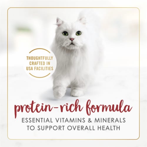 Fancy Feast Gravy Lovers Beef Feast in Roasted Beef Flavor Gravy Wet Cat Food Perspective: right