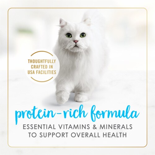 Purina Fancy Feast Delights Wet Cat Food Grilled Tuna & Cheddar Cheese Feast in Gravy Perspective: right
