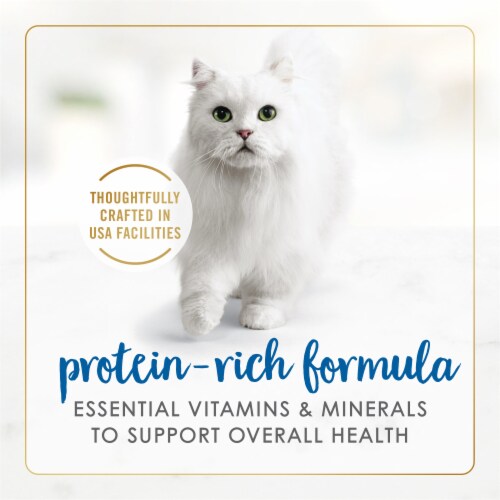 Purina Fancy Feast Delights Wet Cat Food Grilled Whitefish & Cheddar Cheese Feast in Gravy Perspective: right