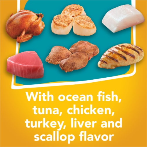 Purina Friskies Tasty Treasures Prime Filets Wet Cat Food Variety Pack Perspective: right