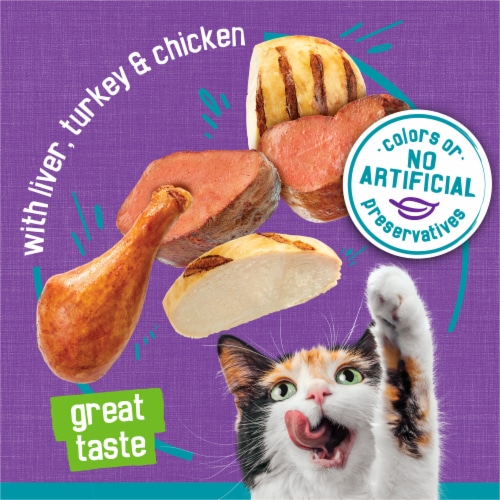 Purina Friskies Tasty Treasures Wet Cat Food Pate Turkey & Chicken Perspective: right