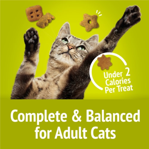 Purina Friskies Party Mix Morning Munch Crunch Cat Treats Perspective: right