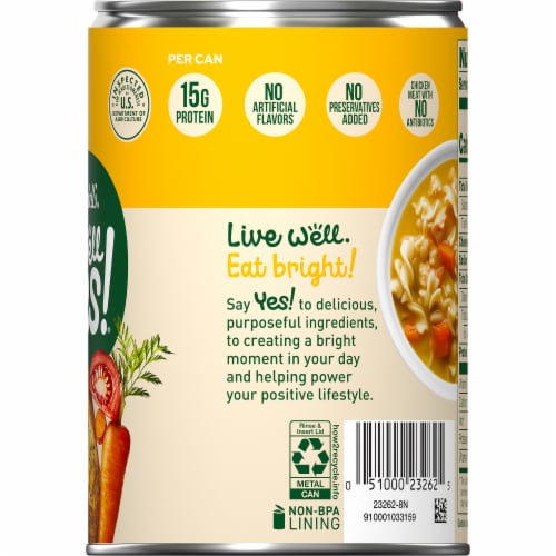 Campbell's® Well Yes!® Chicken Noodle Soup Perspective: right