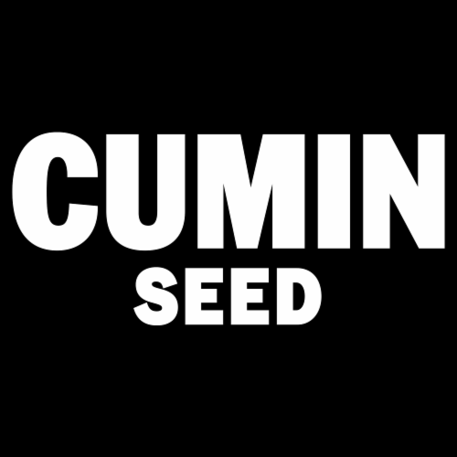 McCormick Cumin Seed Shaker Perspective: right