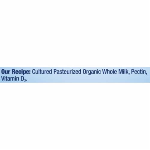 Stonyfield® Organic Probiotic Plain Whole Milk Yogurt Tub