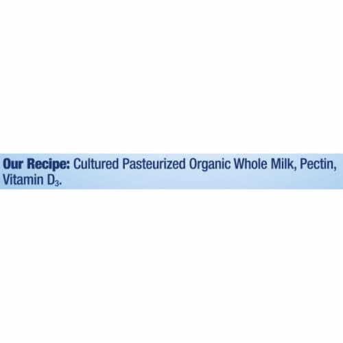 Stonyfield® Organic Probiotic Plain Whole Milk Yogurt Tub Perspective: right