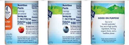 Stonyfield Organic® YoBaby® Apple & Blueberry Whole Milk Yogurt with Probiotics Perspective: right