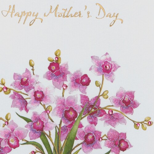 Papyrus (S6) Orchids - Mother's Day Perspective: right