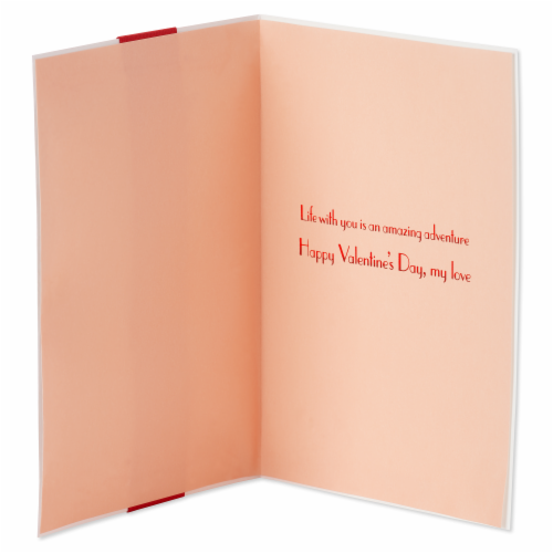 Papyrus (S2) Hot Air Balloon - Valentine's Day Perspective: right