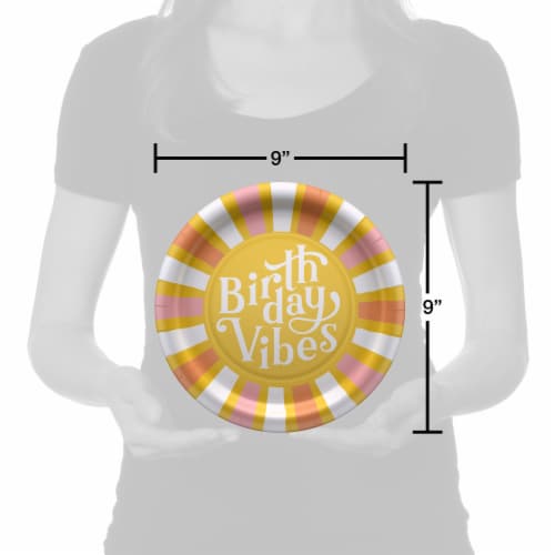 American Greetings Birthday Paper Plates- Birthday Vibes Perspective: right