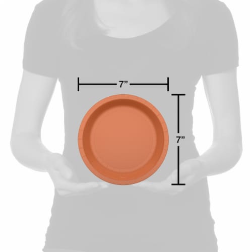 American Greetings All Occasion Paper Plates - Orange Perspective: right