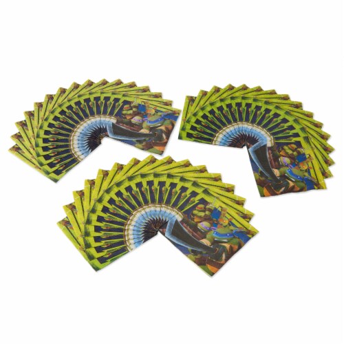 American Greetings Teenage Mutant Ninja Turtle Paper Lunch Napkins Perspective: right
