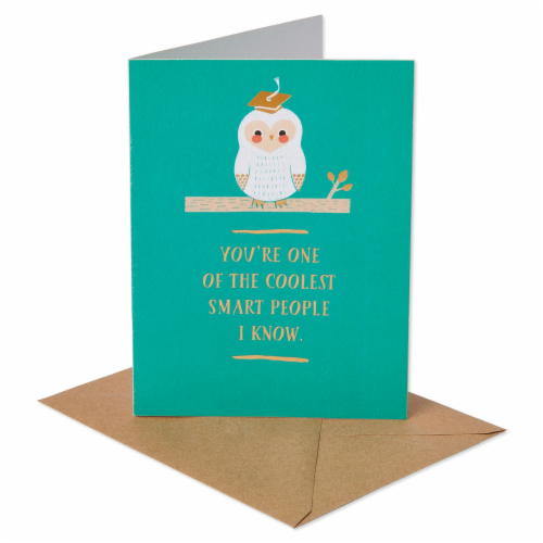 American Greetings (S4) Owl - Graduation Card Perspective: right