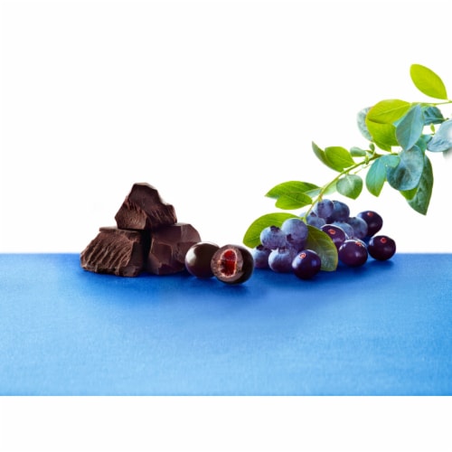 BROOKSIDE Dark Chocolate with Acai and Blueberry Flavored Snacking Chocolate Bag Perspective: right