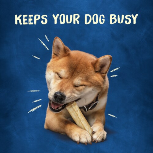 Purina Busy Roll Hide Rawhide Chew Small/Medium Breed Dog Treats Perspective: right
