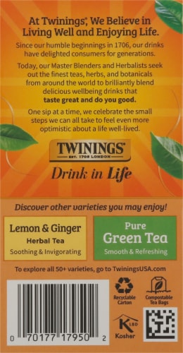 Twinings Of London Orange & Cinnamon Spice Herbal Tea Bags Perspective: right