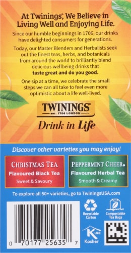 Twinings of London® Winter Spice Caffeine Free Herbal Tea Bags Perspective: right