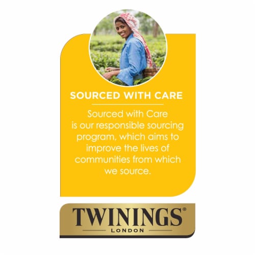 Twinings Chai Tea 25 Tea Bags - 1.76 oz (50 g) Perspective: right
