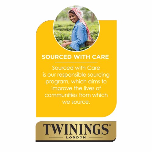 Twinings Chai Tea 25 Tea Bags - 1.76 oz (50 g) Perspective: right