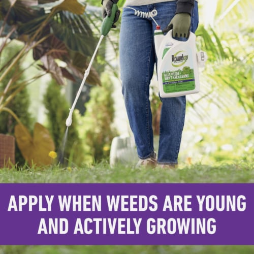 Roundup For Lawns 1 Gal. Wand Sprayer Southern Formula Weed Killer 5012506 Perspective: right