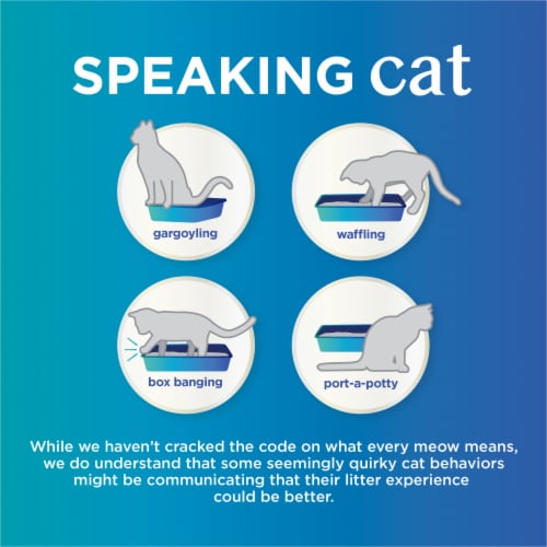 Tidy Care Comfort Scented Clumping Cat Litter Clumping Odor Control Low Dust Formula Perspective: right