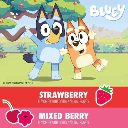 Yoplait Go GURT Bluey Strawberry and Mixed Berry Kids Fat Free Yogurt Tubes Perspective: right