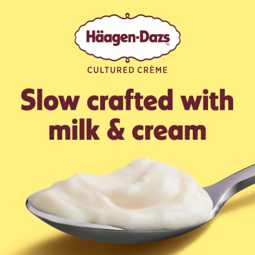 Haagen Dazs Lemon Cultured Crème Yogurt Style Snack Perspective: right