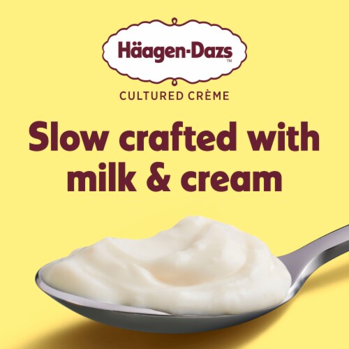 Haagen Dazs Lemon Cultured Crème Yogurt Style Snack Perspective: right