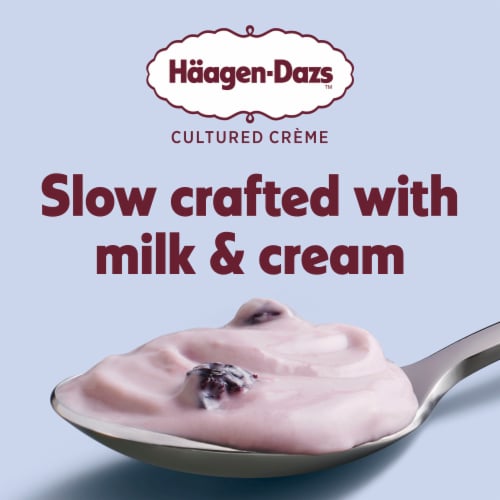 Haagen Dazs Blueberry Cultured Creame Yogurt Perspective: right