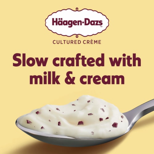 Haagen Dazs Vanilla and Chocolate Flavored Yogurt Style Cultured Cream Snack Perspective: right