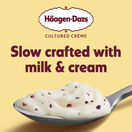 Haagen Dazs Vanilla and Chocolate Flavored Yogurt Style Cultured Cream Snack Perspective: right