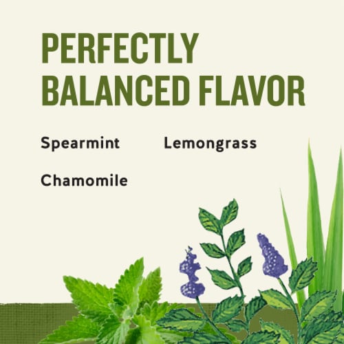 Celestial Seasonings Caffeine Free Sleepytime® Herbal Tea Perspective: right