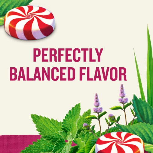 Celestial Seasonings® Peppermint Herbal Tea Bags Perspective: right