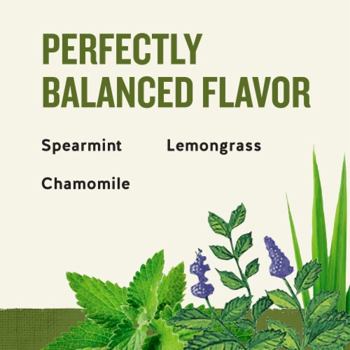 Sleepytime Celestial Seasonings Caffeine Free Herbal Tea Perspective: right