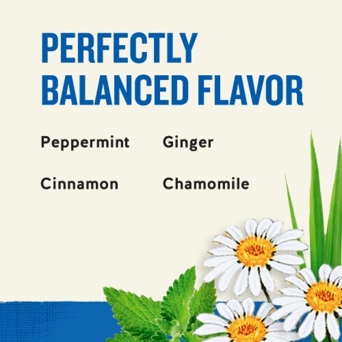 Celestial Seasonings® Caffeine Free Tension Tamer® Herbal Tea Bags Perspective: right