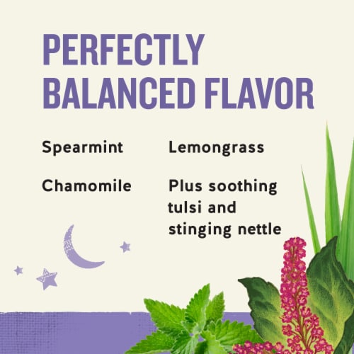 Celestial Seasonings Caffeine Free Sleepytime® Wellness Sinus Soother Tea Perspective: right