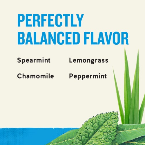 Celestial Seasonings Caffeine Free Throat Cooler Herbal Tea Perspective: right