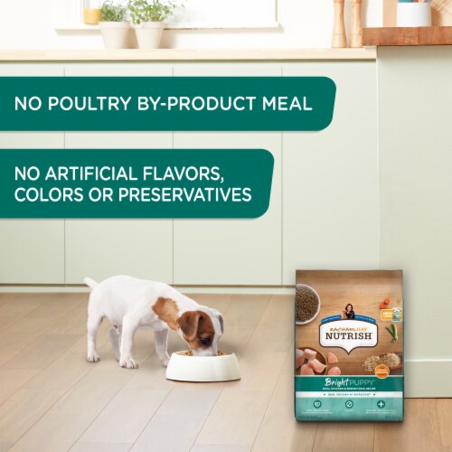 Rachael Ray™ Nutrish® Bright Puppy Dry Dog Food Real Chicken & Brown Rice Recipe Perspective: right