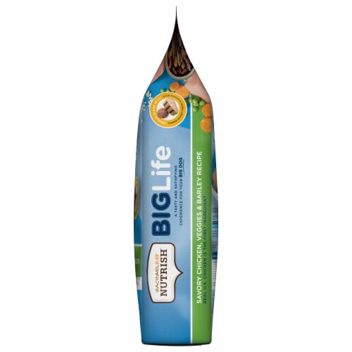 Rachael Ray™ Nutrish® Big Life Savory Chicken Veggie & Barley Dry Adult Dog Food Perspective: right