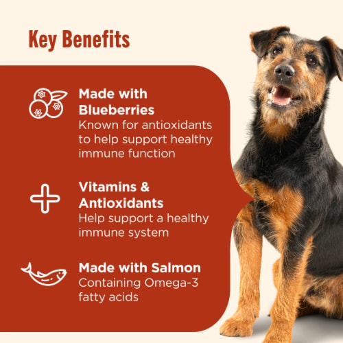 Nutrish Everyday Immune Support Chicken, Salmon, Blueberry & Pumpkin Recipe Dry Dog Food, 13 lb. Bag Perspective: right