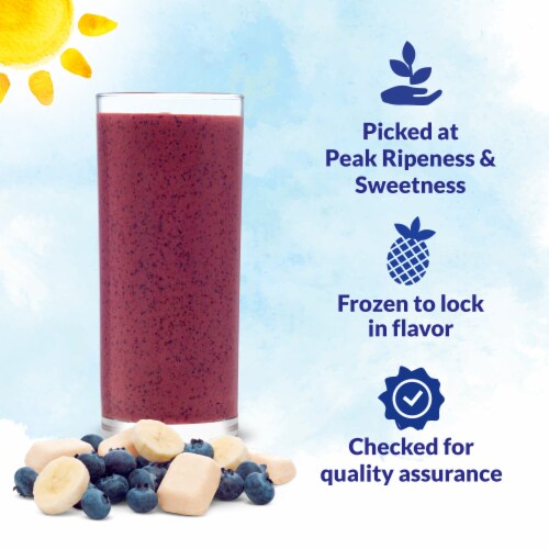 DOLE BOOSTED BLENDS® Protein Blueberry & Banana Smoothie Frozen Fruit Perspective: right