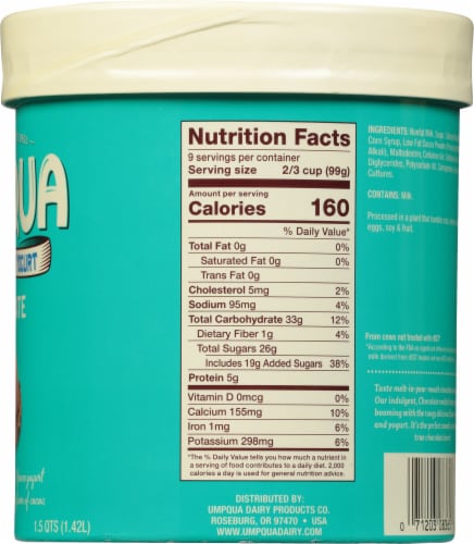 Umpqua Chocolate Nonfat Frozen Yogurt Perspective: right